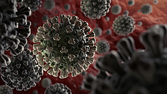 Koronavírus: intenzív osztályra került Delhusa Gjon