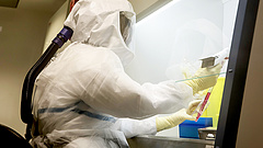 Koronavírus: védőfelszerelést és teszteket vett milliárdokért a Semmelweis Egyetem
