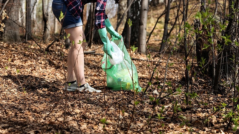 Hatalmas mennyiségű illegális hulladék van a Budapest melletti erdőkben