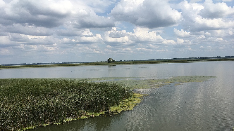 Megtartják szombaton a Tisza-tó átevezést és átúszást