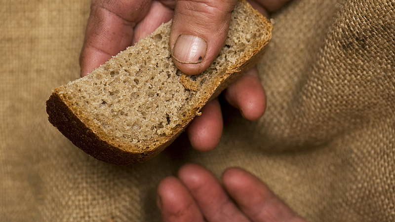 Lélektani határ fölé drágult a kenyér, további áremelések jönnek