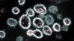 Koronavírus: riasztó prognózist közölt egy német virológus