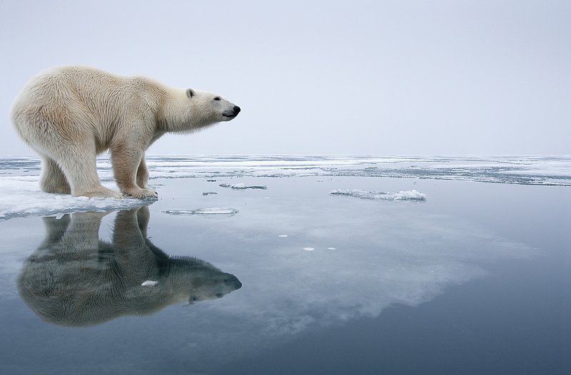 Aggasztó olvadást észlelnek a sarkvidéken