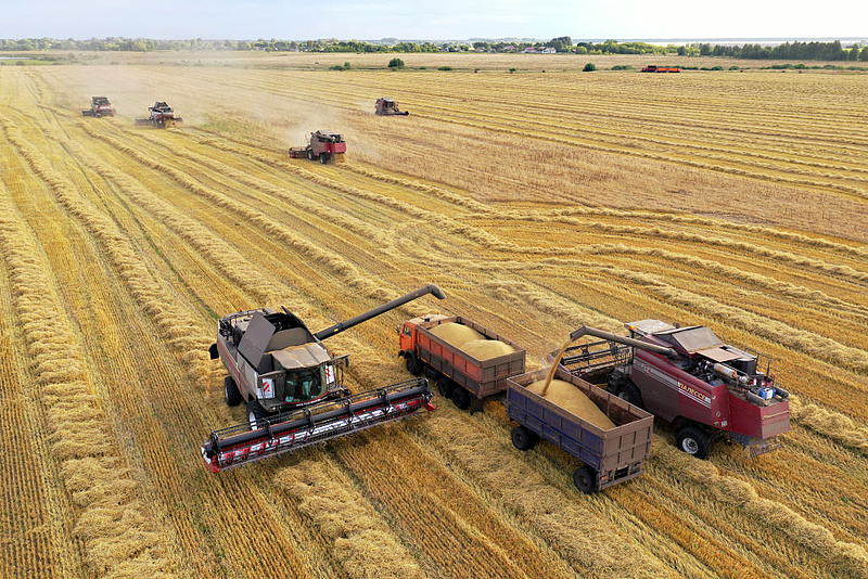 Nagyon jól alakul a gabonatermés Oroszországban