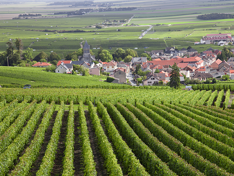 A burgundi szőlőültetvényeknek betett az időjárás