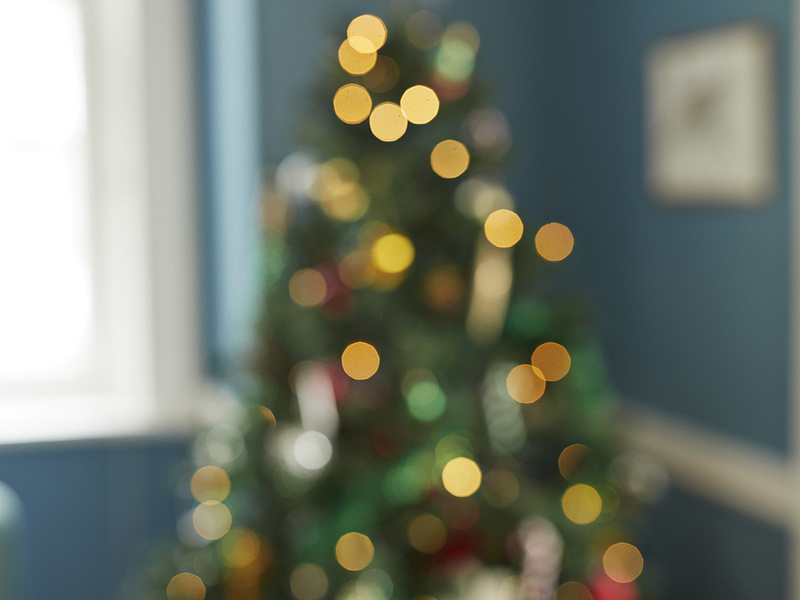 A drága karácsonyfa még drágább lehet, ha helytelenül válunk meg tőle