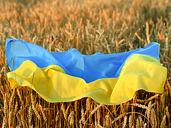 Őszre 75 millió tonna gabona rekedhet Ukrajnában