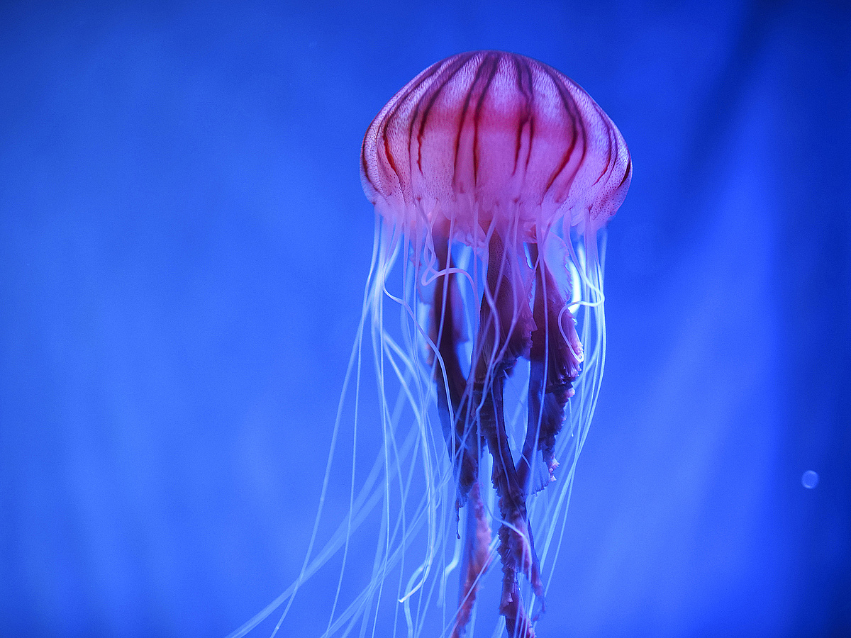 Riasztó hír jött a görög tengerpartról - Economx.hu