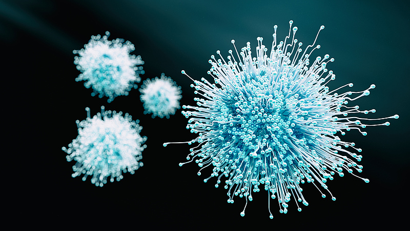 Véget érhet a koronavírus-járvány jövőre