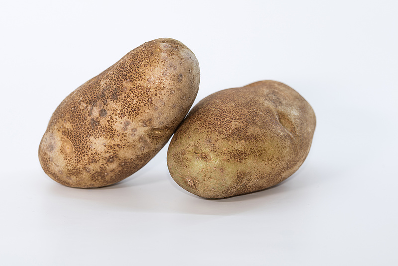A krumplitárolás aranyszabályai