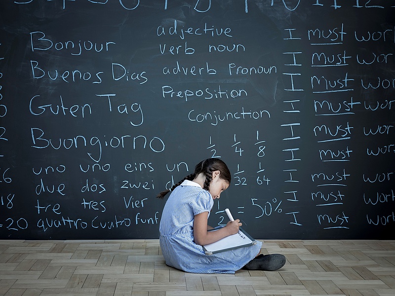 Magántanárokkal oldják meg a nyelvtanítást több állami iskolában