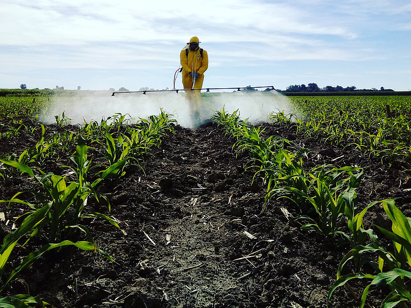 Növényvédő szerek: a gazdák szerint az unió nincs magánál, amiért betiltaná ezeket