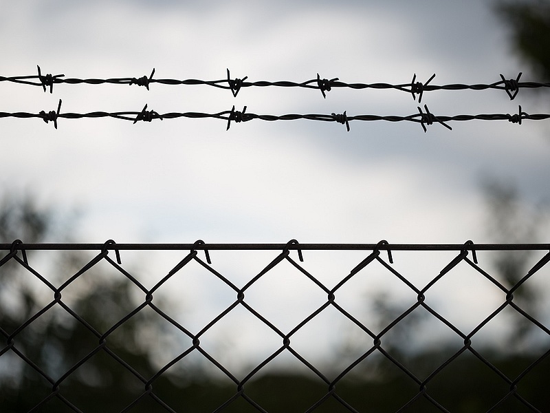 Migránshiány miatt távoztak a cseh rendőrök a magyar-szerb határról