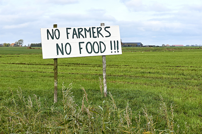 Hatalmas a balhé Hollandiában: a miniszterelnök ellen fordultak a gazdák