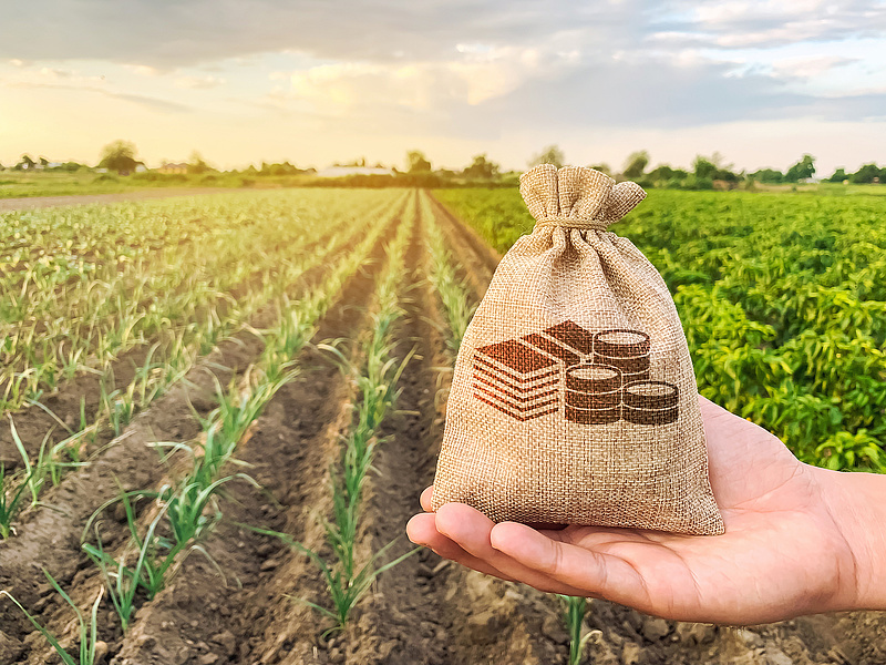 Döntött a kormány, Magyarország is megtiltja a mezőgazdasági termékek importját Ukrajnából