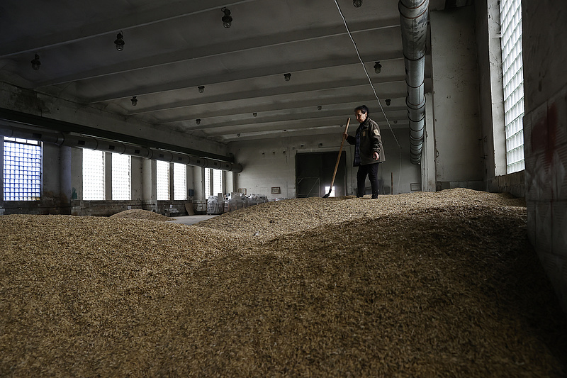 Lengyelországnak sem kell az ukrán gabona 