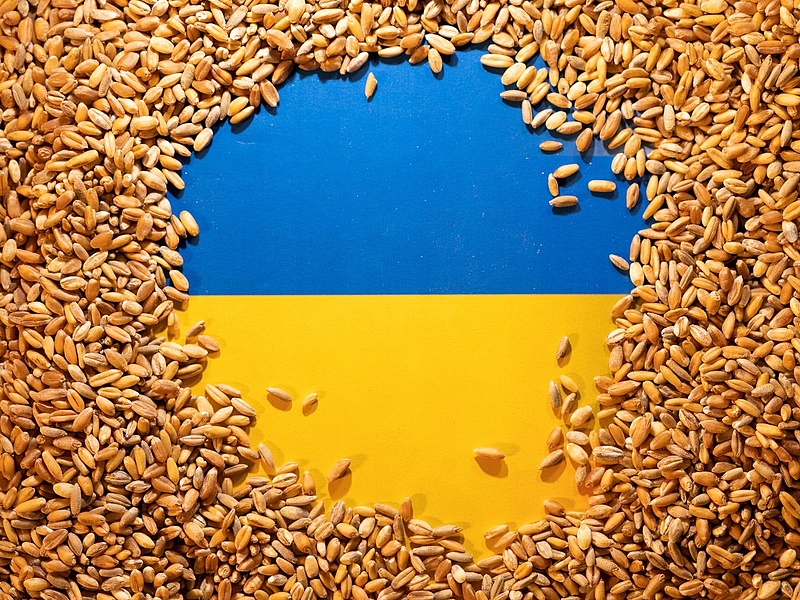 A magyar példa ragadós: Szlovákiában is pártolják az ukrán gabona importtilalmát
