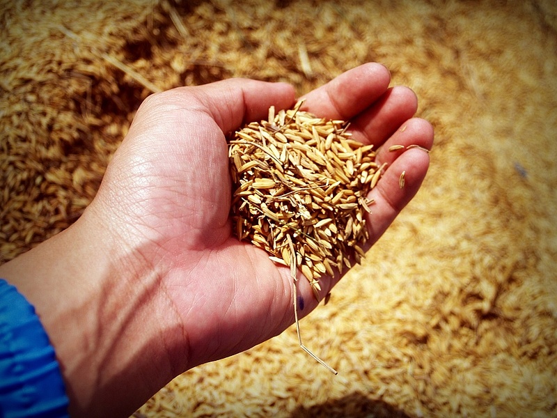 Megvan a megállapodás az ukrán gabonaimport ügyében