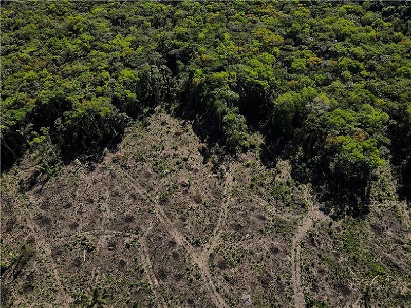 Nem sikerült megállapodni az erdőírtásokról az Amazonas-csúcson