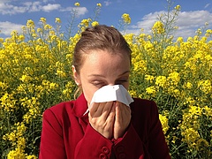 Magyarország extrém módon kitett a veszélynek: dupla annyi allergiás lesz