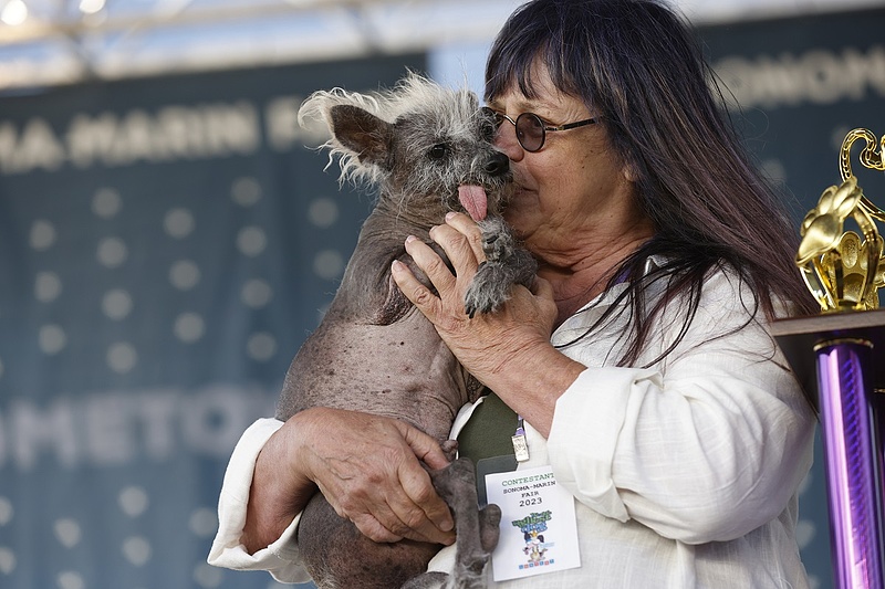 1500 dollárt nyert gazdájának Scooter, a világ legcsúnyább kutyája