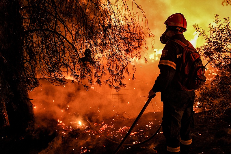 Lángoló erdők: tíz ország ötszáz tűzoltója segít Görögországban és Tunéziában