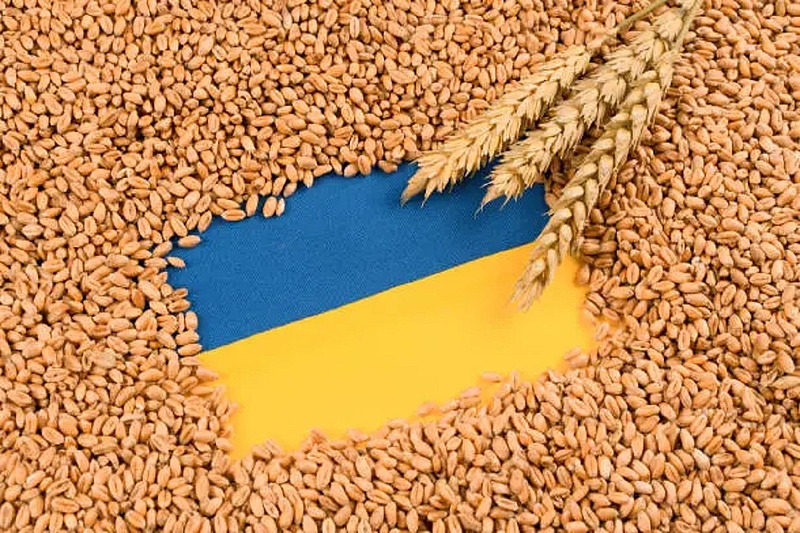 Nem marad az ukránok nyakán egy szem gabona sem