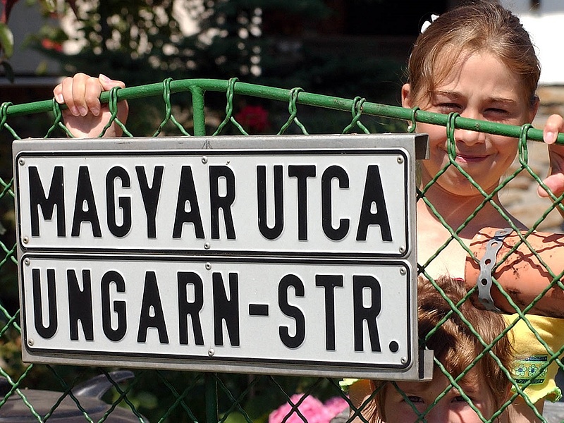 Betelt a pohár: nemzetközi jogászok tiltakoznak a magyarok kitiltása ellen az osztrák határról