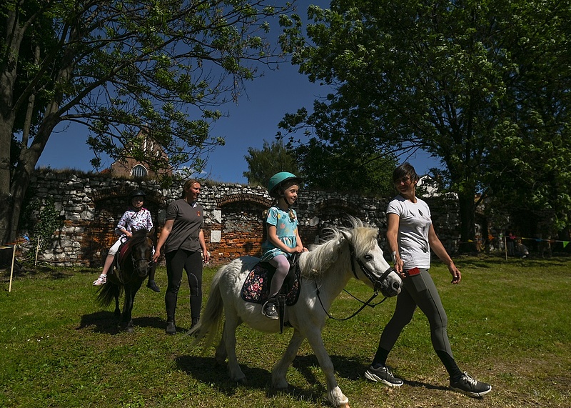 Vérvizsgálat és útlevél: a nyári lovas táborok harmadánál fordultak elő hiányosságok