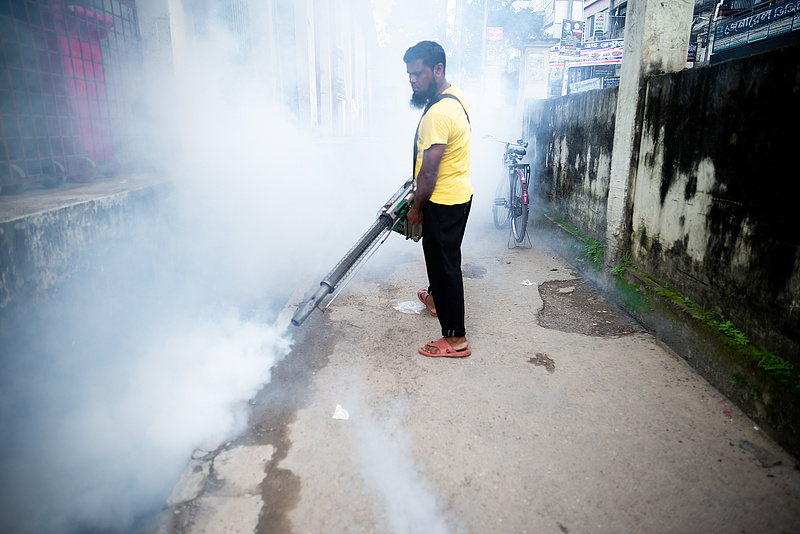 Még sosem volt ennyi áldozata a dengue-láznak