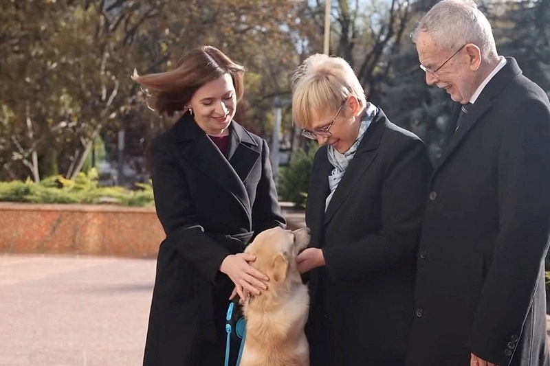 A moldovai elnök kutyája megharapta az osztrák szövetségi elnököt