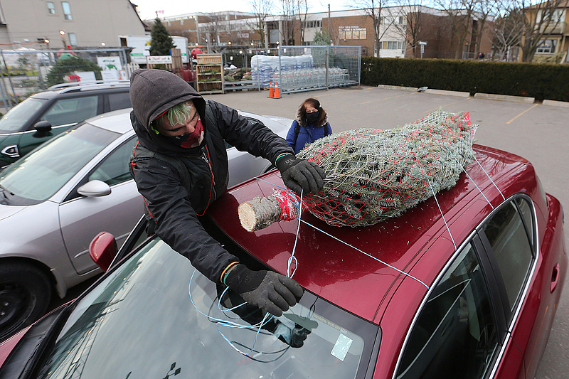 A gyilkos karácsonyfák az autók tetején utaznak