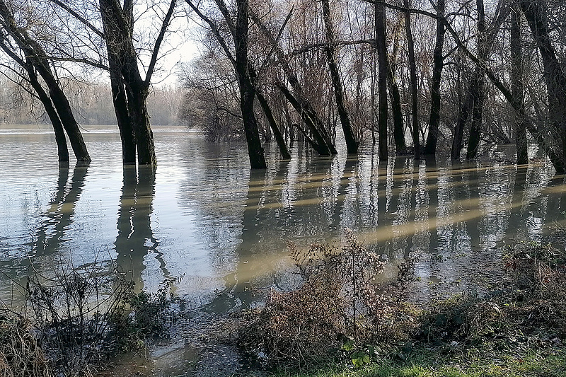Árad már mindenhol a Duna, ráadásul hamarosan újabb árhullám érkezik