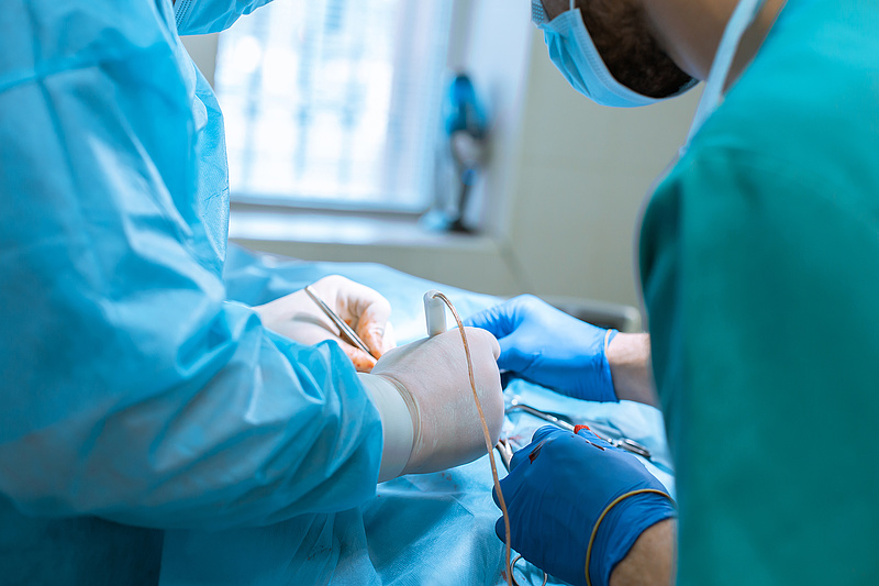 Több mint 500 új beteg került fel transzplantációs várólistára
