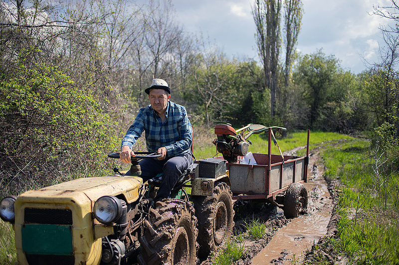 Idős férfiak irányítják a magyar agráriumot