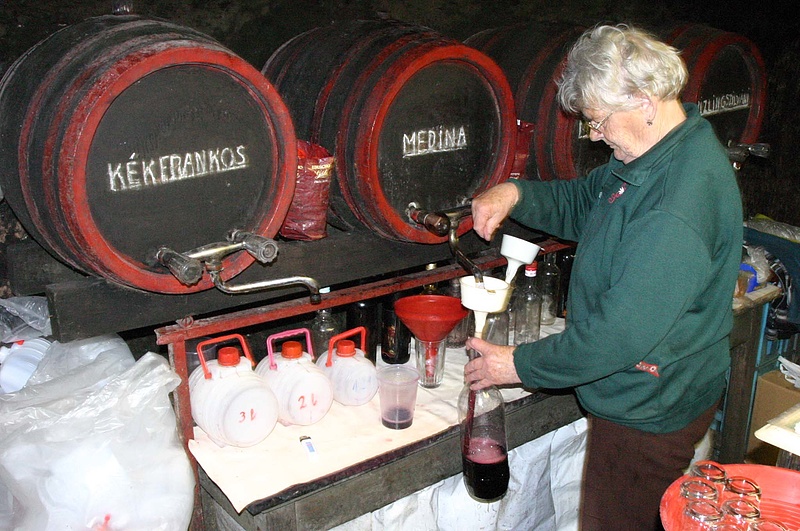Újra jó magyar borásznak lenni