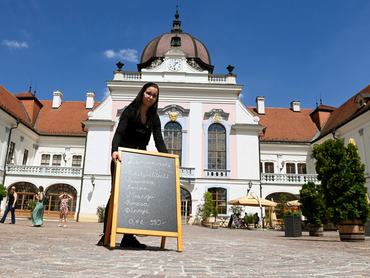Diákmunkás a Gödöllői Királyi Kastély éttermének teraszán