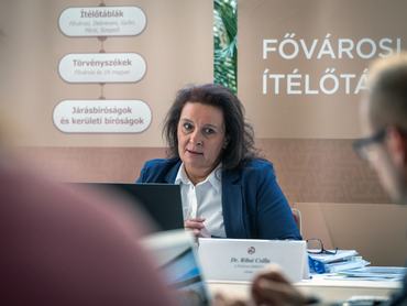 Ribai Csilla, Fővárosi Ítélőtábla