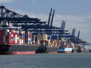 Container ships and gantry cranes