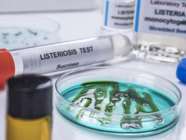 liszteriózis listeriosis listeria