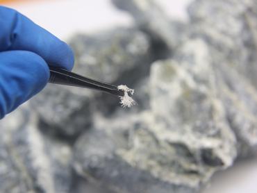 Képünk illusztráció