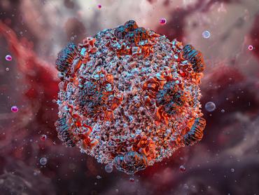 Hantavirus 3D viral structure, RNA virus transmitted to humans through rodent excreta. Severe illnesses, hemorrhagic fever, renal disease, hantavirus pulmonary syndrome. Zoonotic pathogenic infections, scientific illustration