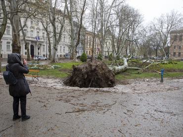 Kidőlt fa a súlyos vihar után , 2026. március 27-én, Zágrábban, Horvátországban.