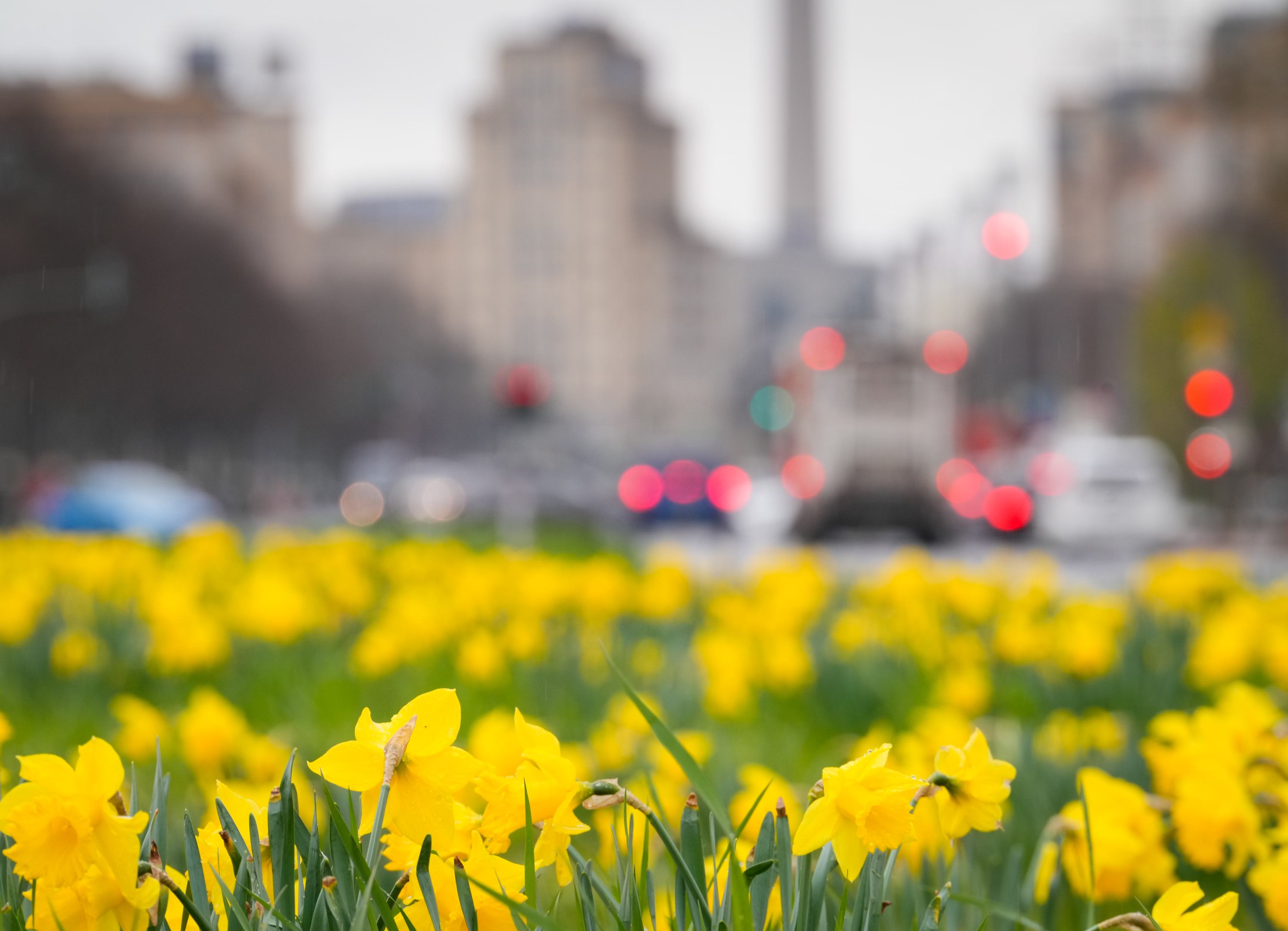 Durva adat jött: furcsa márciuson vagyunk túl