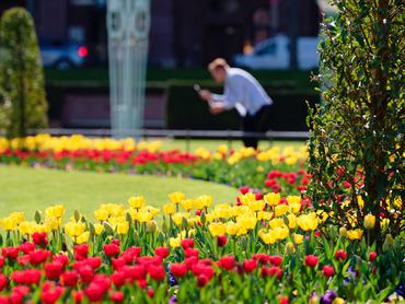 08 April 2026, Baden-Württemberg, Mannheim: A man photographs blooming flowers at the water tower. Photo: Uwe Anspach/dpa (Photo by Uwe Anspach/picture alliance via Getty Images)