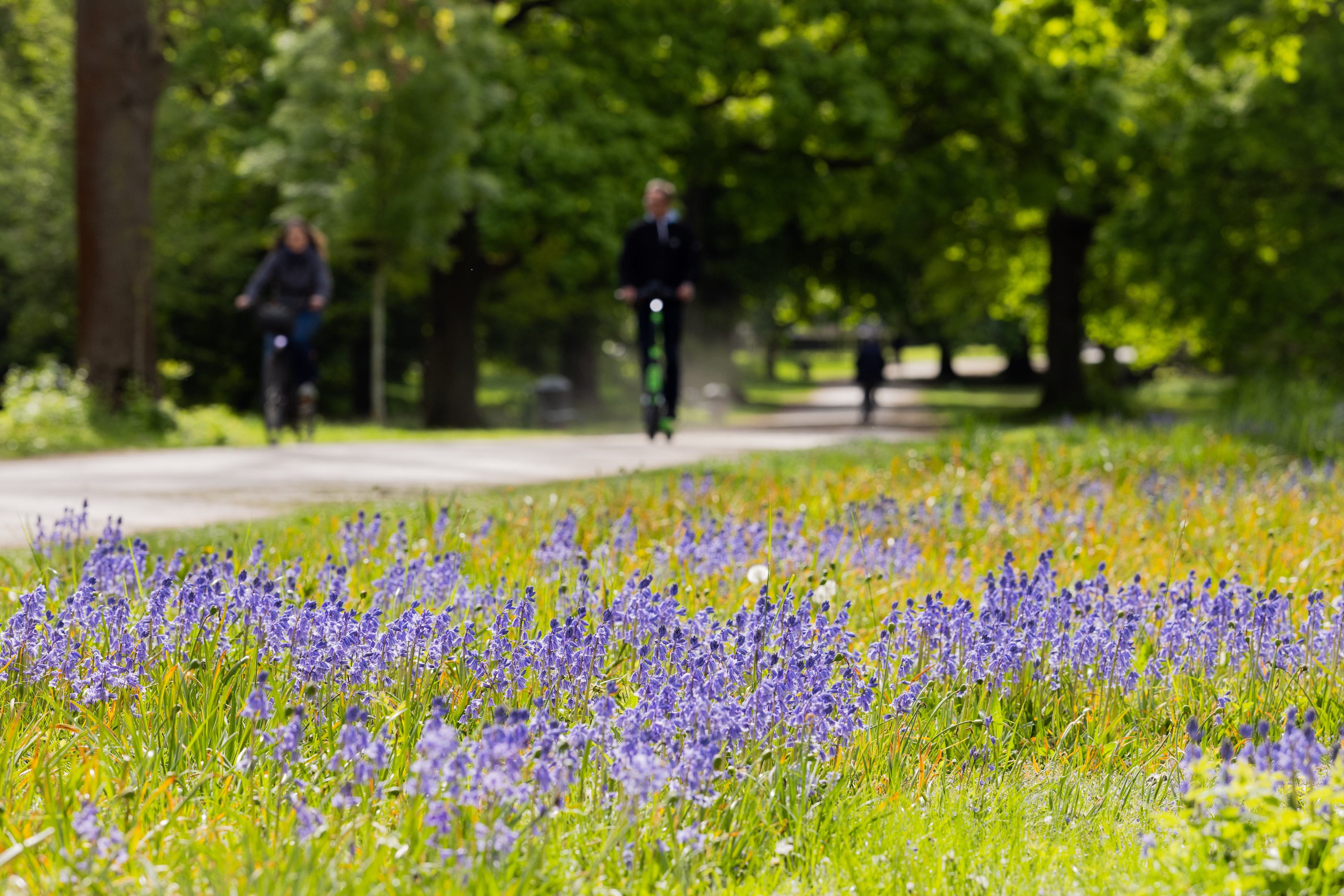 Borúra derű: ideális lesz a május 1-jei hosszú hétvége