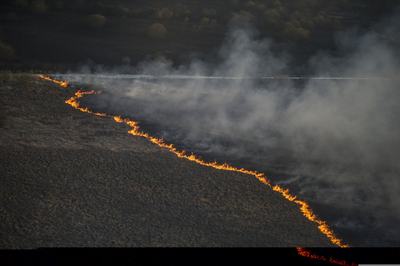 Erdőtűz a csernobili lezárt zónában 2015. áprilisában