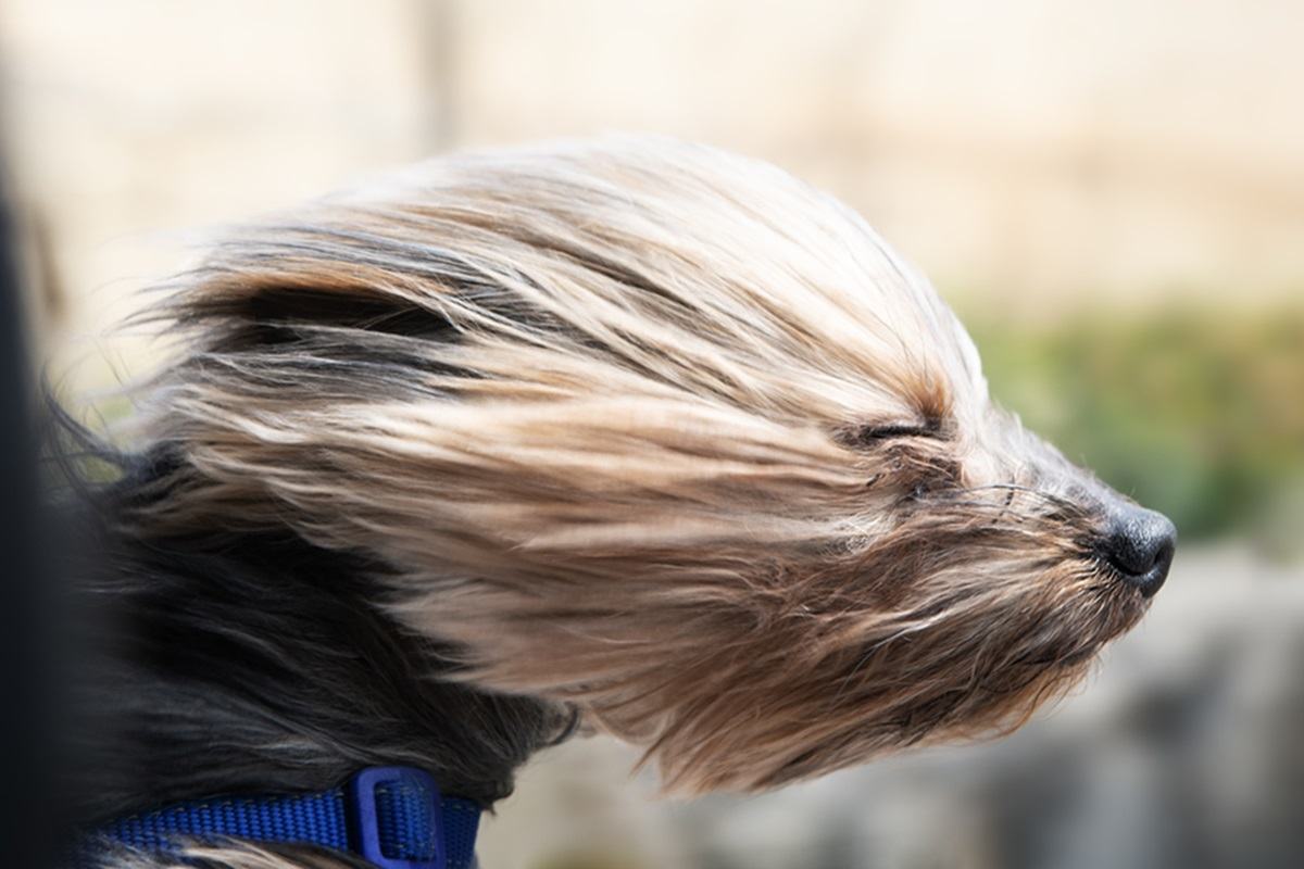 Erre a vészjelzésre senki nem számított: nagy port kavar a vasárnapi fordulat