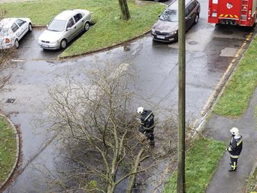 Tűzoltók dolgoznak a viharos szélben kidőlt fa eltávolításán Nagykanizsa keleti városrészében 2026. március 27-én