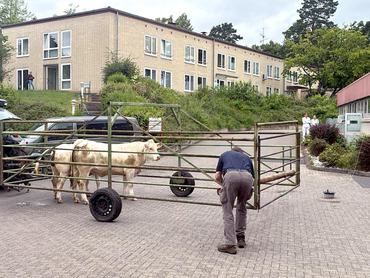 A wolfhageni klinika